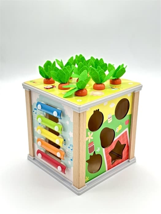 Сортер куб 6 в 1 FT