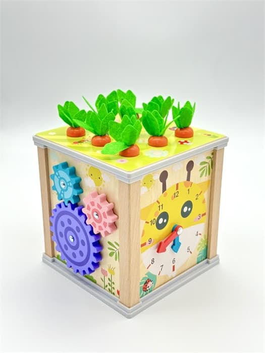 Сортер куб 6 в 1 FT