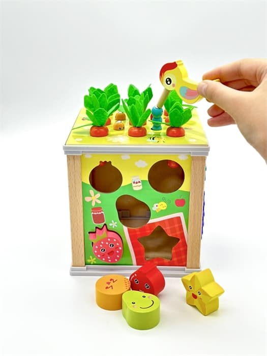 Сортер куб 6 в 1 FT