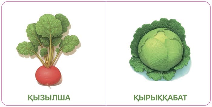 КӨКӨНІСТЕР