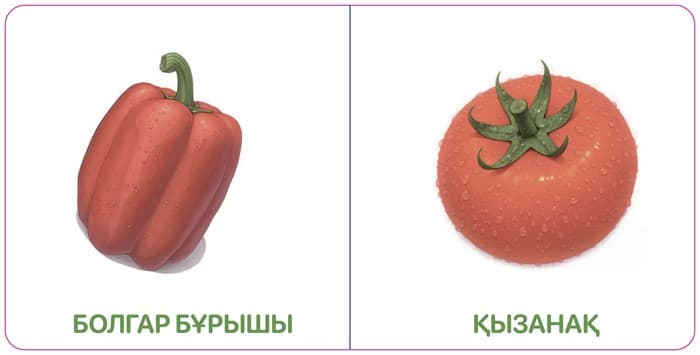 КӨКӨНІСТЕР