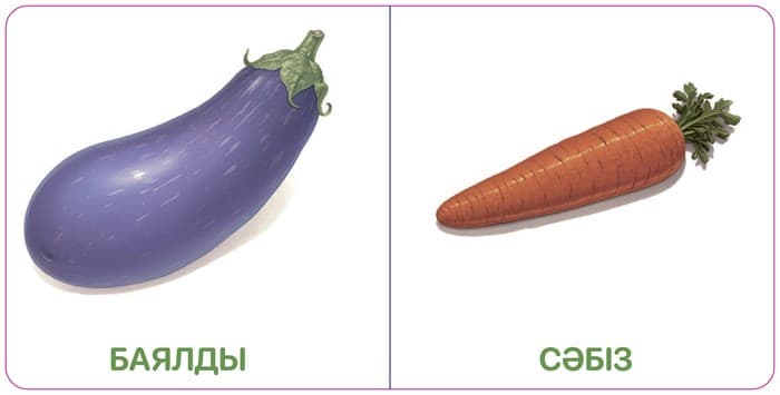 КӨКӨНІСТЕР