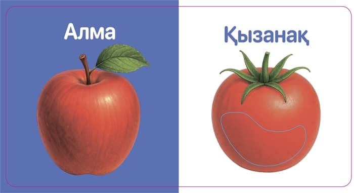 Жемістер-Көкөністер. Тактильді кітап