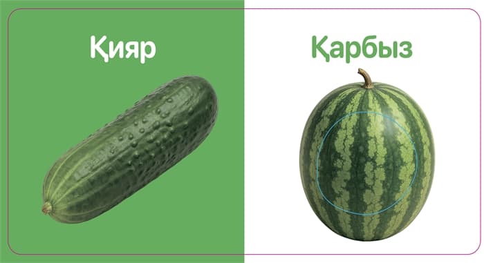 Жемістер-Көкөністер. Тактильді кітап