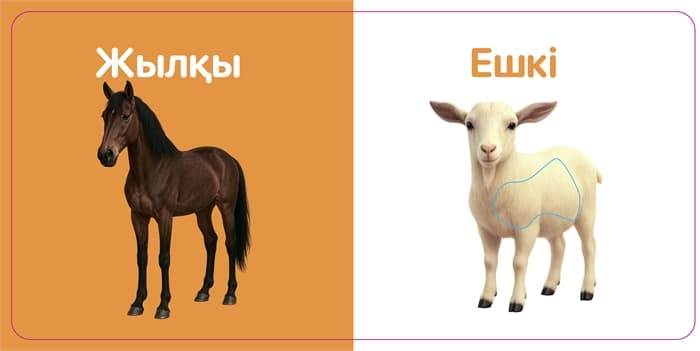 Үй жануарлары. Тактильді кітап