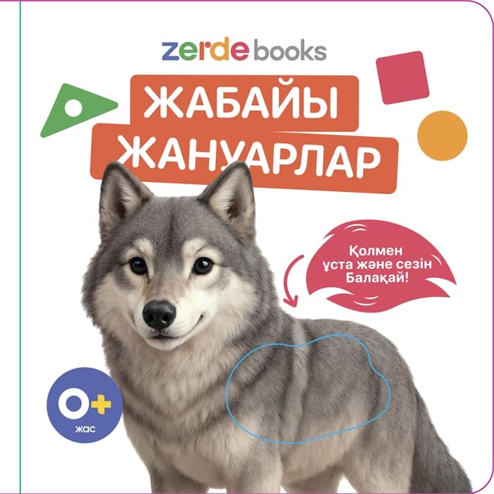 Тактильді кітаптар жиынтығы 5 штук